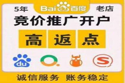 行业领先企业的SEM竞价推广策略揭秘
